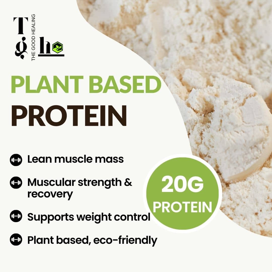 Plant based protein powder benefits