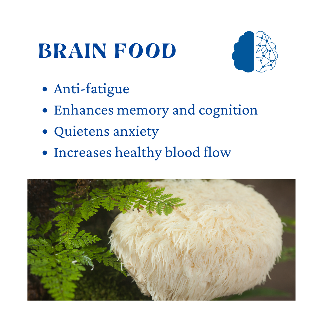 Lion's Mane Mushroom Benefits - Brain Food