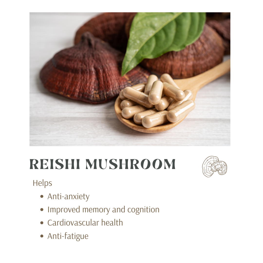 Reishi Mushroom Benefits