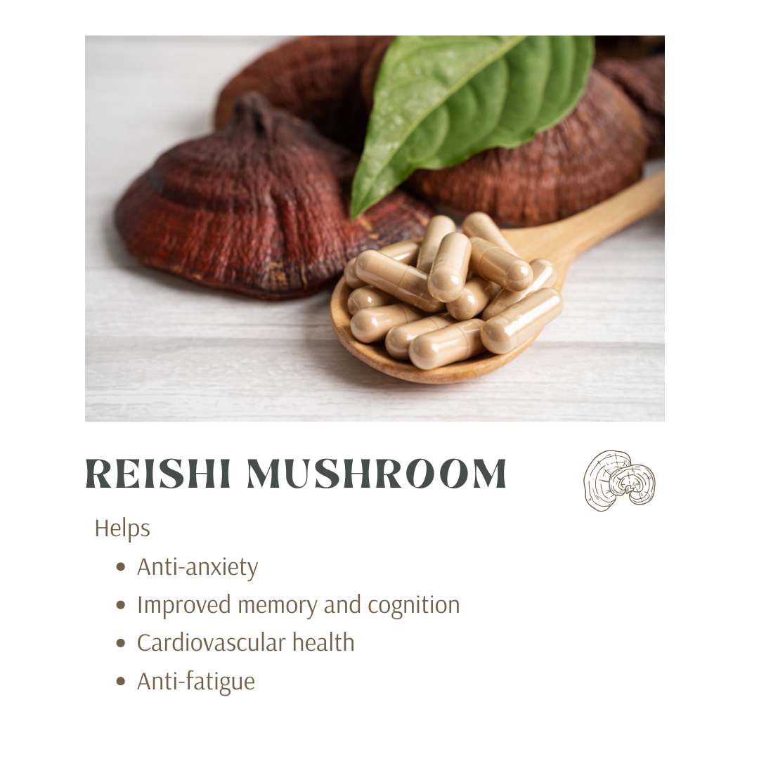 Reishi Mushroom Benefits 